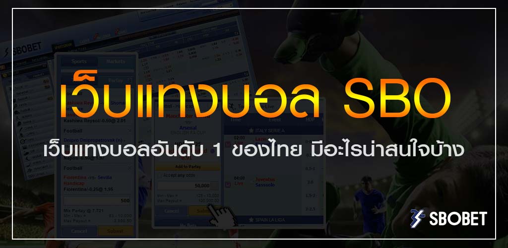 แนะนำ เว็บแทงบอล SBO เว็บอันดับ 1 ของไทย มีอะไรน่าสนใจบ้าง